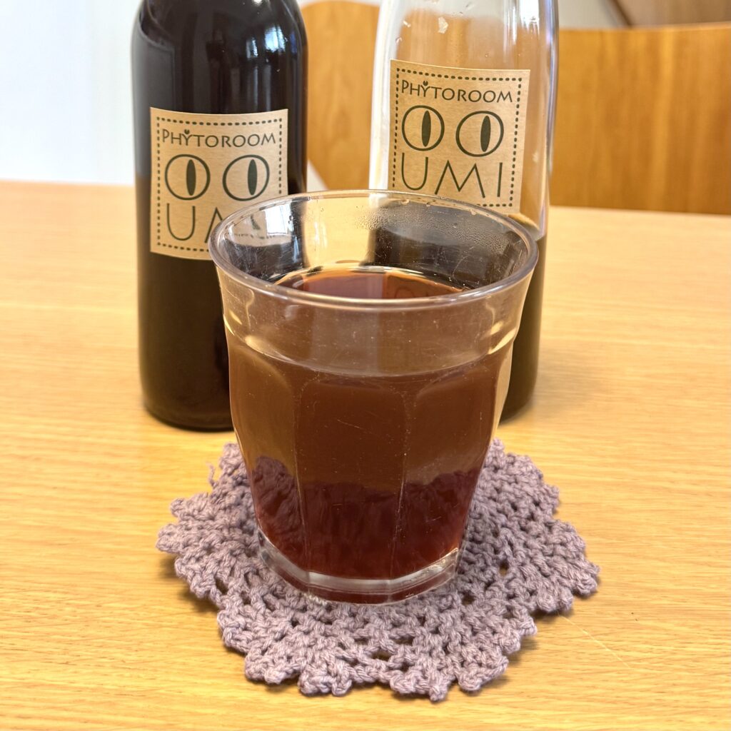 山形先生の「クラフトコーラ ワークショップ」